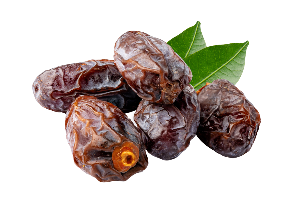 Date Palm