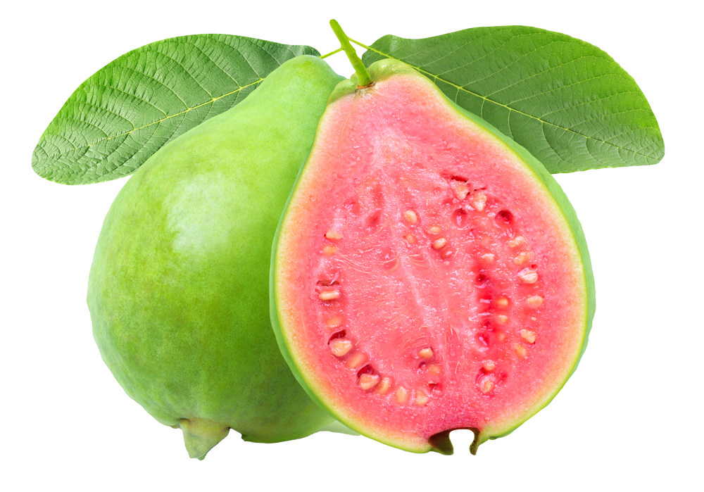Guava