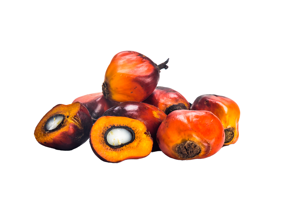 Palm Oil
