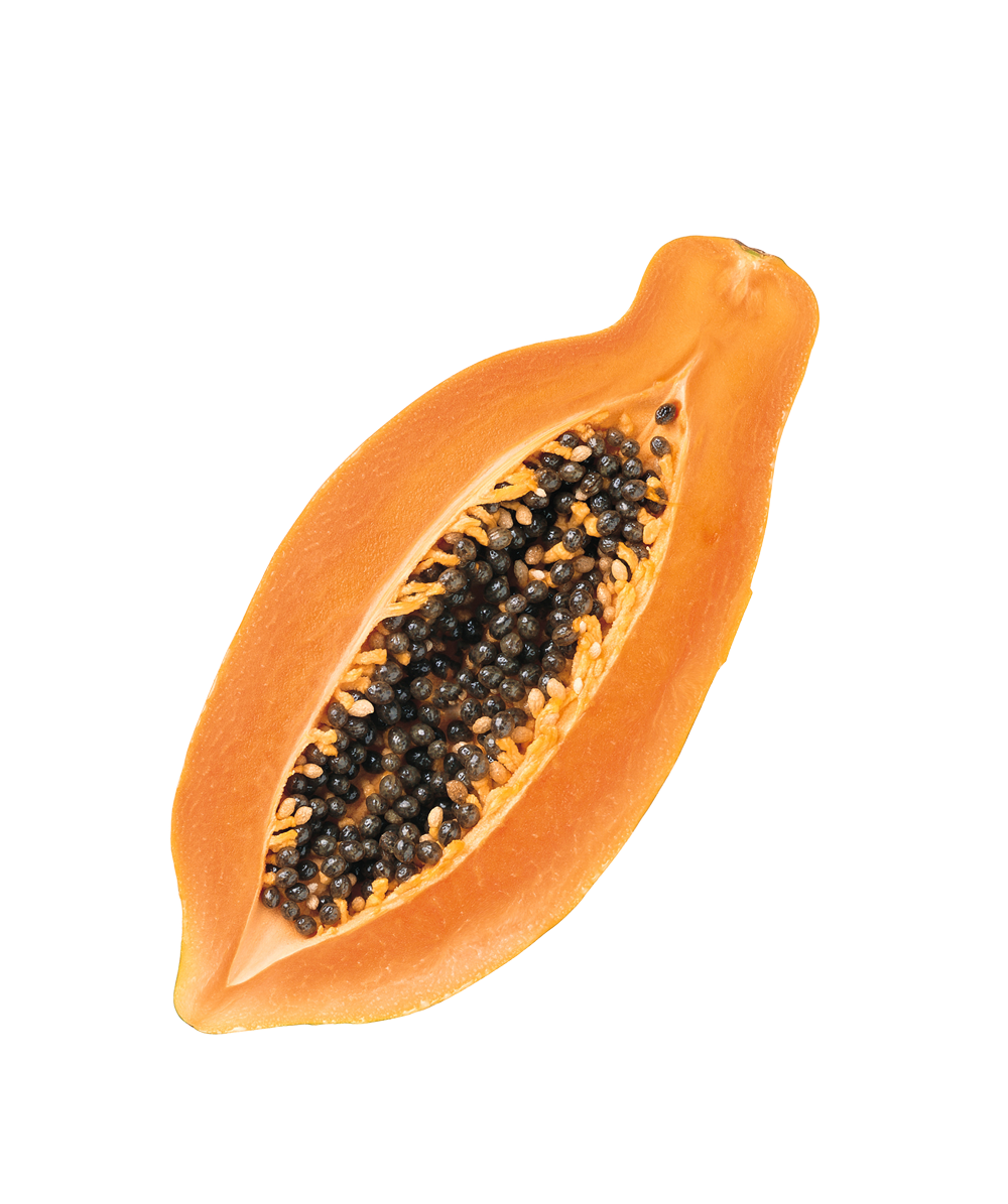 Papaya