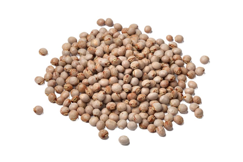 Pigeon Peas