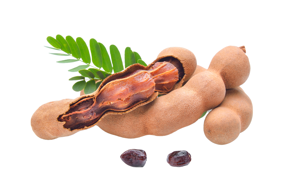 Tamarind